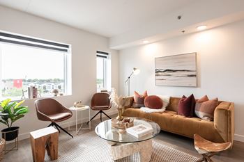 Contemporary window blinds